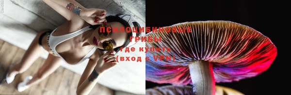 apvp Балахна