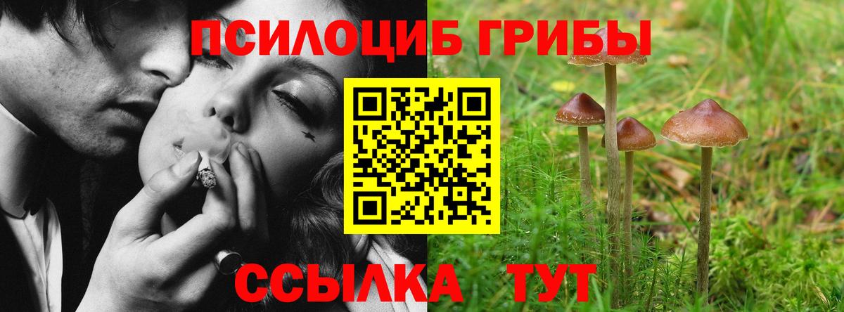 Галлюциногенные грибы мухоморы  хочу наркоту  Псилоцибиновые грибы GOLDEN TEACHER  Борисоглебск  Вход с VPN 